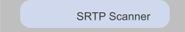 SRTP Scanner